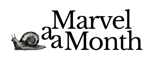 A Marvel a Month